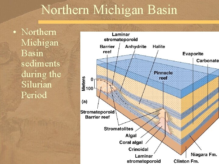 Northern Michigan Basin • Northern Michigan Basin sediments during the Silurian Period 