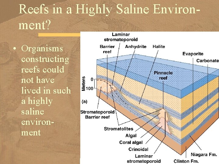 Reefs in a Highly Saline Environment? • Organisms constructing reefs could not have lived