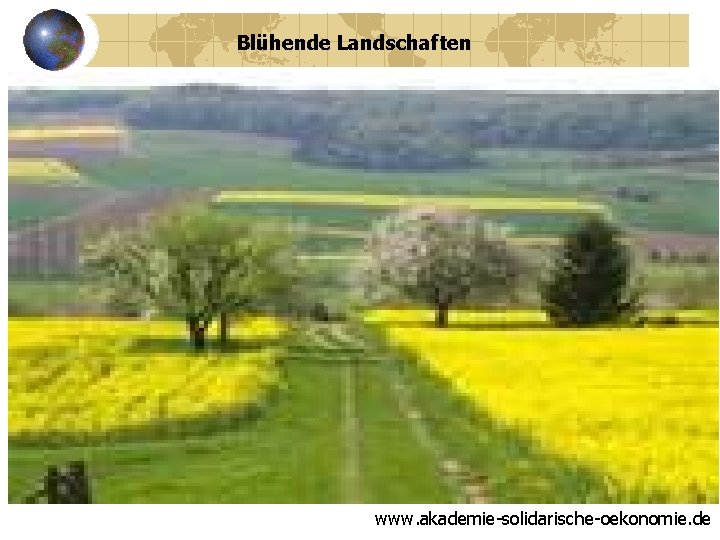 Blühende Landschaften www. akademie-solidarische-oekonomie. de 