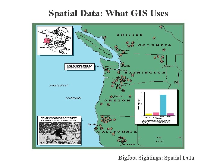 Spatial Data: What GIS Uses Bigfoot Sightings: Spatial Data 