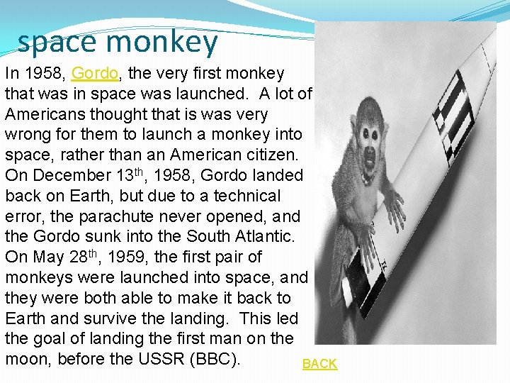 space monkey In 1958, Gordo, the very first monkey that was in space was