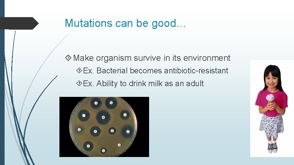 Mutations can be good… Make organism survive in its environment Ex. Bacterial becomes antibiotic-resistant