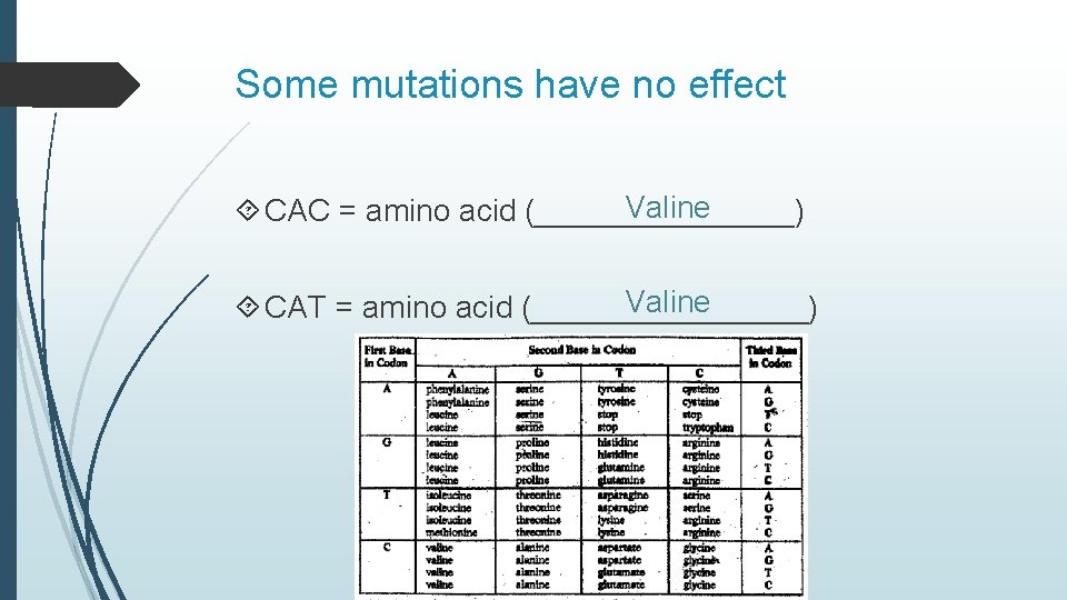 Some mutations have no effect Valine CAC = amino acid (________) Valine CAT =