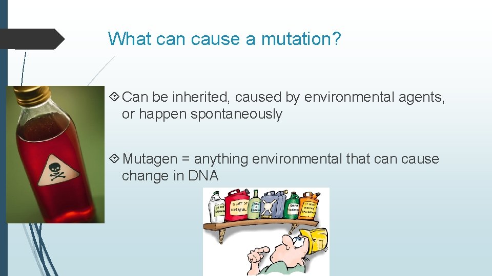 What can cause a mutation? Can be inherited, caused by environmental agents, or happen