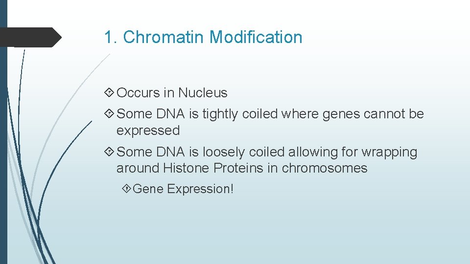 1. Chromatin Modification Occurs in Nucleus Some DNA is tightly coiled where genes cannot