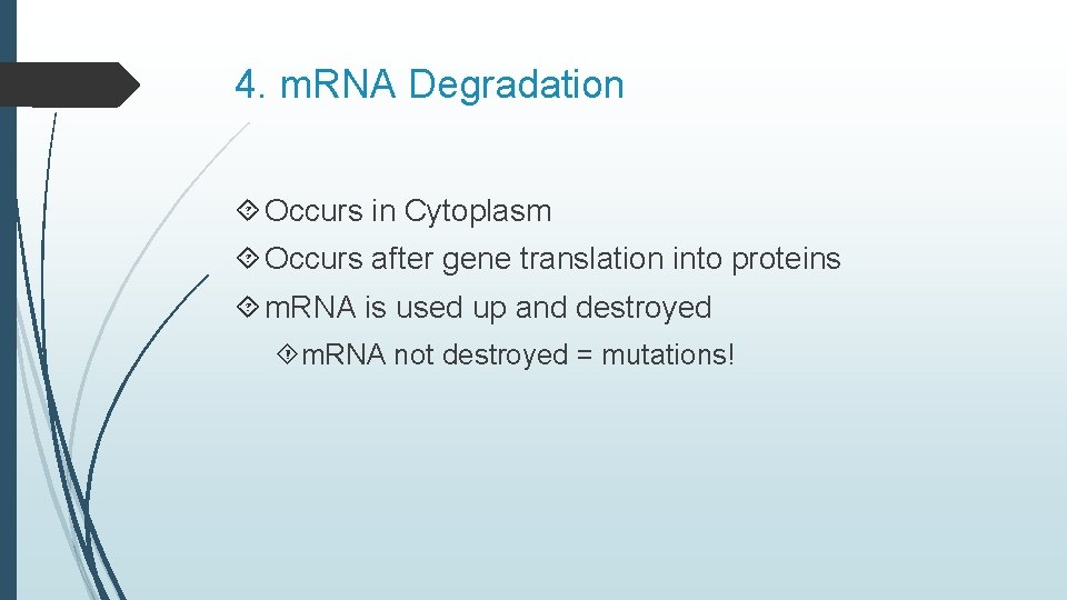 4. m. RNA Degradation Occurs in Cytoplasm Occurs after gene translation into proteins m.