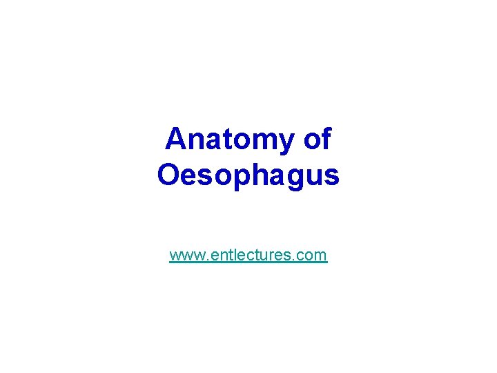 Anatomy of Oesophagus www. entlectures. com Anatomy of Oesophagus www. entlectures. com