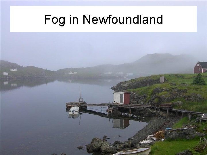 Fog in Newfoundland 