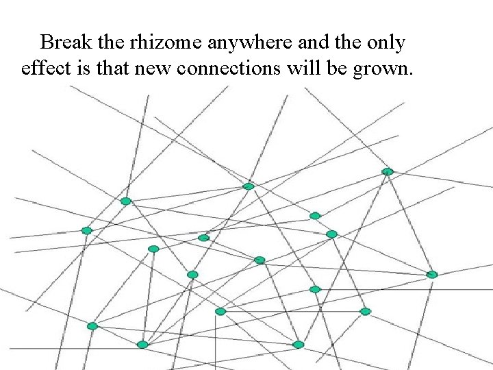 Break the rhizome anywhere and the only effect is that new connections will be