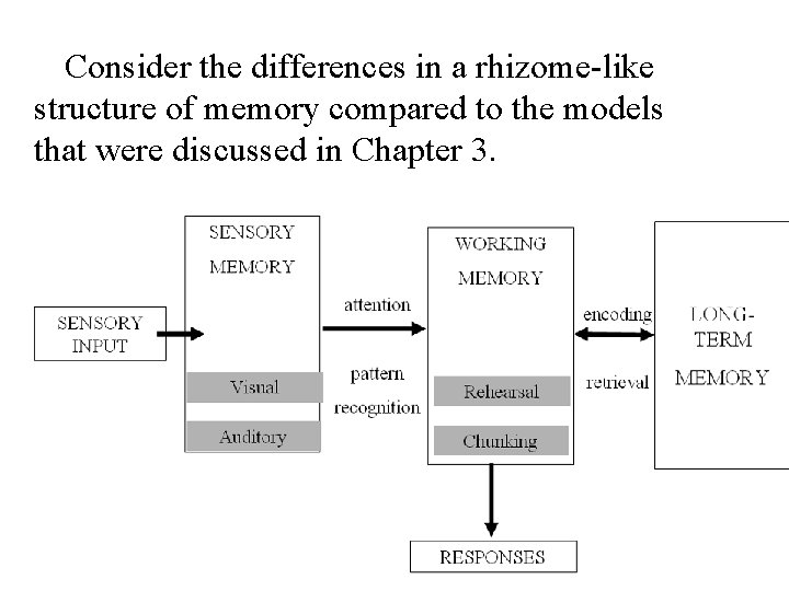 Consider the differences in a rhizome-like structure of memory compared to the models that