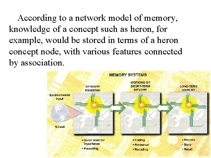 According to a network model of memory, knowledge of a concept such as heron,