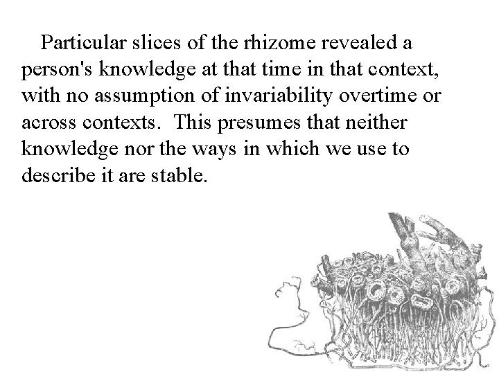 Particular slices of the rhizome revealed a person's knowledge at that time in that