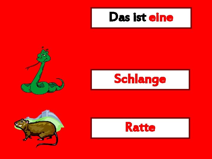 Das ist eine Schlange Ratte 