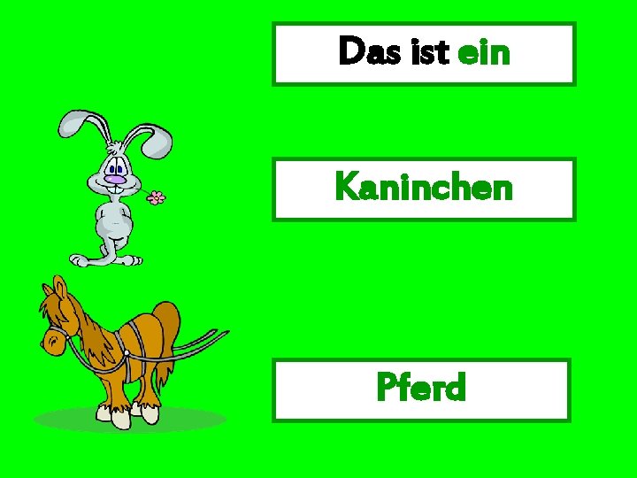 Das ist ein Kaninchen Pferd 