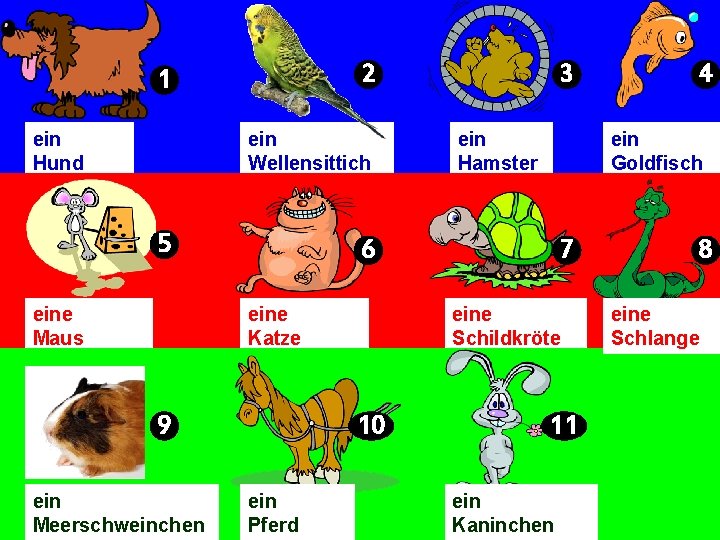 2 1 ein Hund ein Wellensittich 5 eine Maus ein Hamster 9 ein Pferd