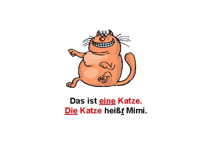 Das ist eine Katze. Die Katze heißt Mimi. 