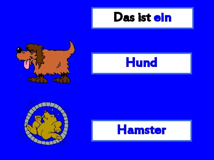 Das ist ein Hund Hamster 