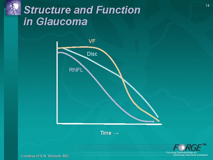 Structure and Function in Glaucoma VF Disc RNFL Time → 14 