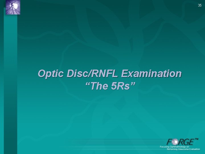 35 Optic Disc/RNFL Examination “The 5 Rs” 