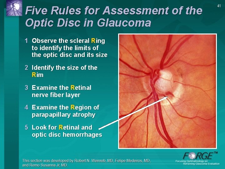 Five Rules for Assessment of the Optic Disc in Glaucoma 1 Observe the scleral