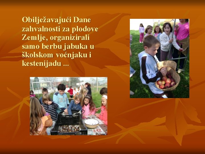 Obilježavajući Dane zahvalnosti za plodove Zemlje, organizirali samo berbu jabuka u školskom voćnjaku i