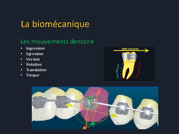 La biomécanique Les mouvements dentaire ▪ ▪ ▪ Ingression Egression Version Rotation Translation Torque