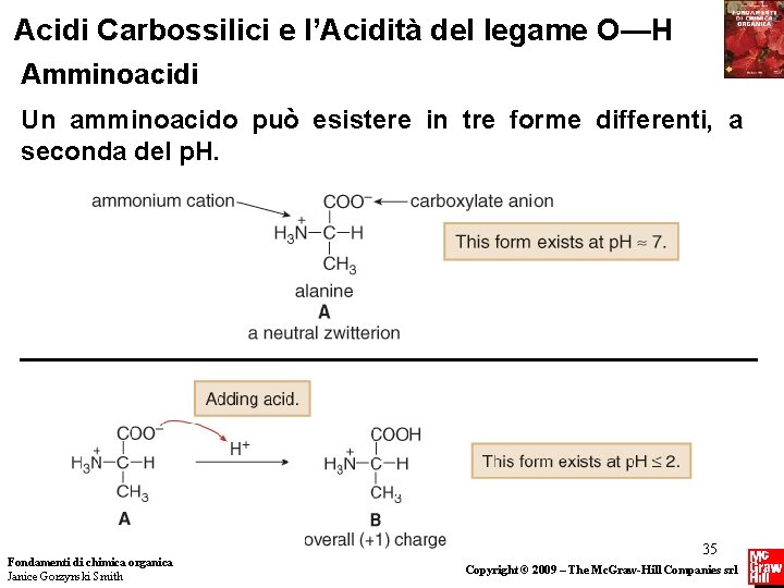 Acidi Carbossilici e l’Acidità del legame O—H Amminoacidi Un amminoacido può esistere in tre