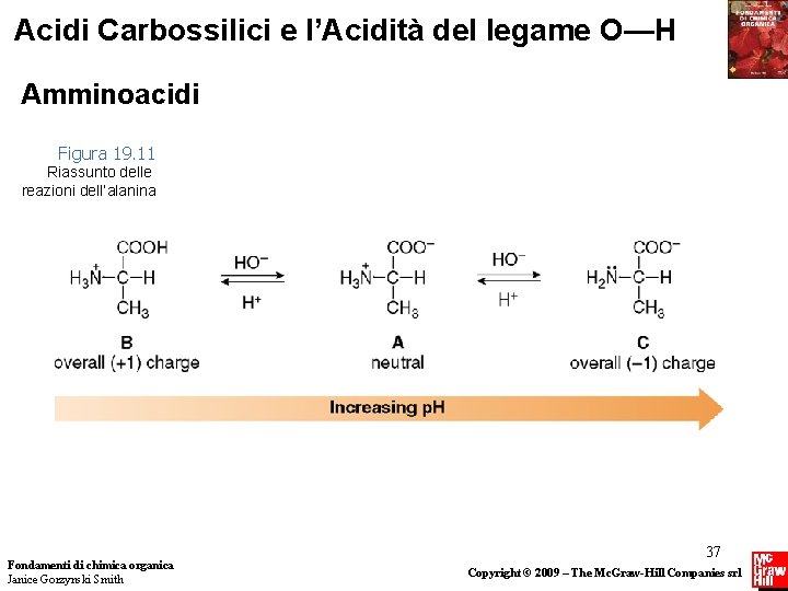 Acidi Carbossilici e l’Acidità del legame O—H Amminoacidi Figura 19. 11 Riassunto delle reazioni