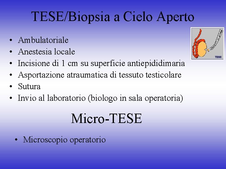 TESE/Biopsia a Cielo Aperto • • • Ambulatoriale Anestesia locale Incisione di 1 cm