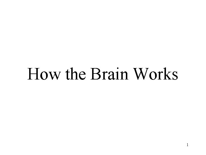 How the Brain Works 1 