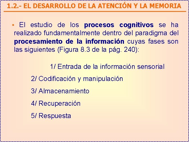 1. 2. - EL DESARROLLO DE LA ATENCIÓN Y LA MEMORIA • El estudio