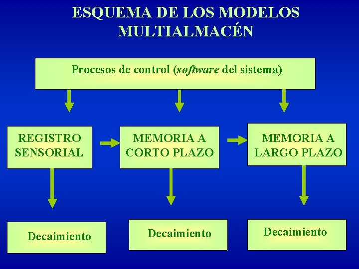 ESQUEMA DE LOS MODELOS MULTIALMACÉN Procesos de control (software del sistema) REGISTRO SENSORIAL Decaimiento