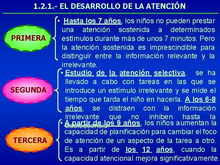 1. 2. 1. - EL DESARROLLO DE LA ATENCIÓN PRIMERA SEGUNDA TERCERA • Hasta