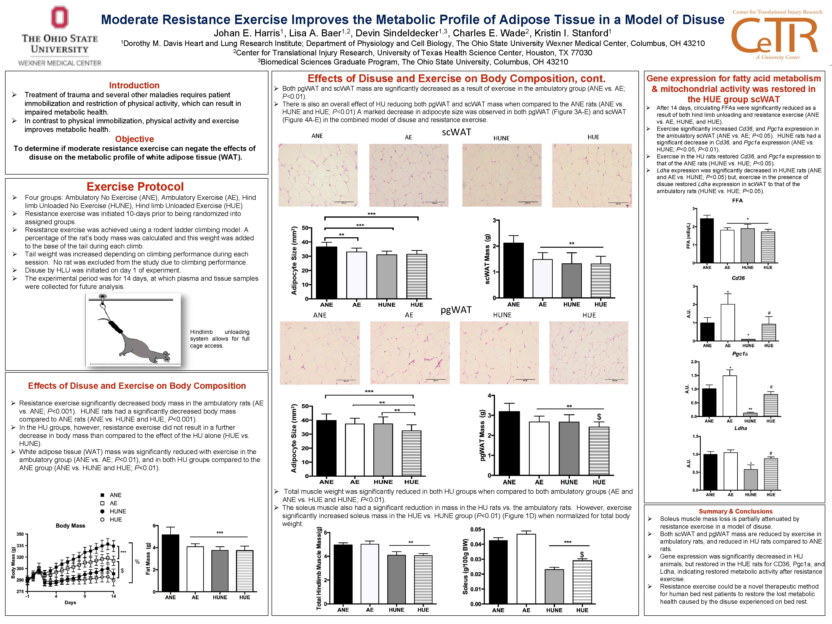 Moderate Resistance Exercise Improves the Metabolic Profile of Adipose Tissue in a Model of
