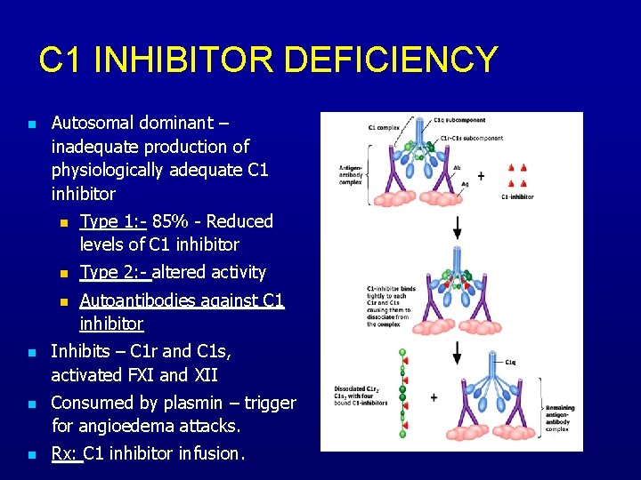 The Complement System Dil 6 Oct 31 St