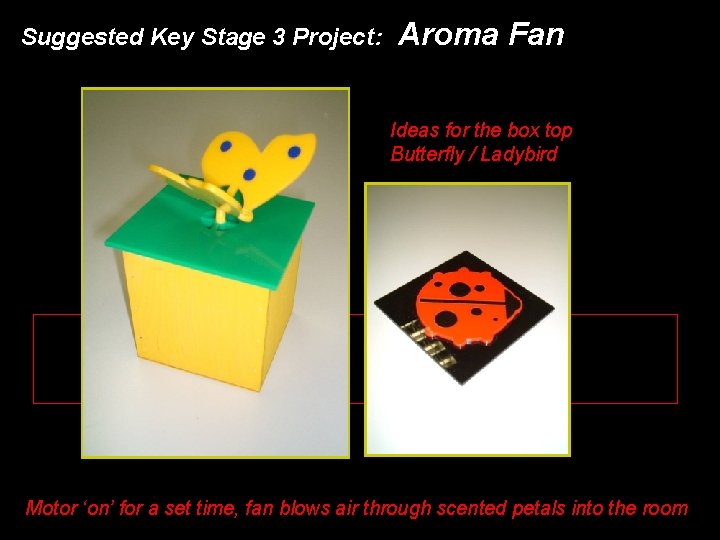 Suggested Key Stage 3 Project: Aroma Fan Ideas for the box top Butterfly /