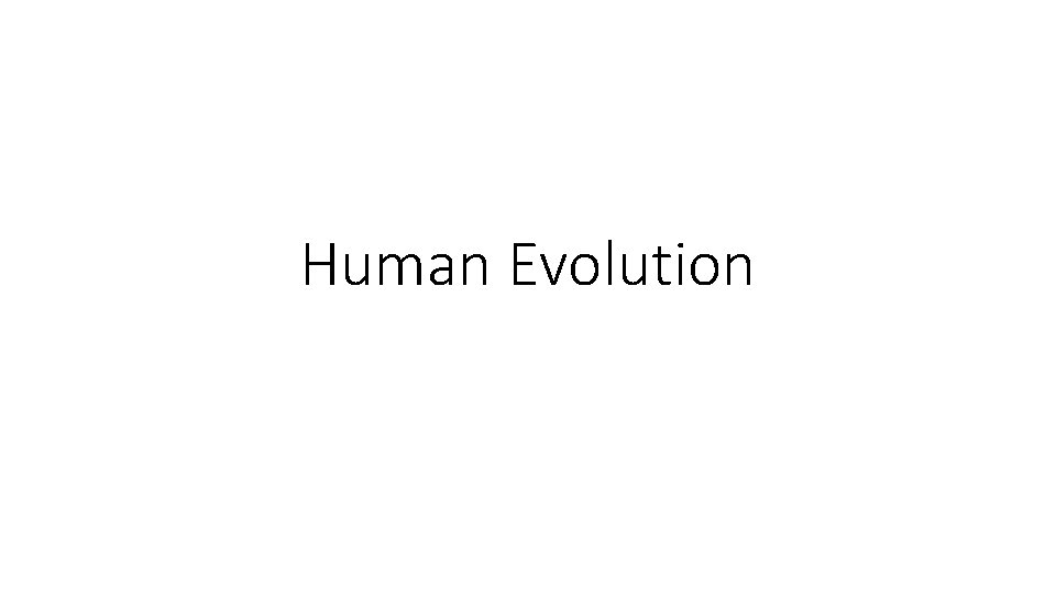 Human Evolution Human Evolution