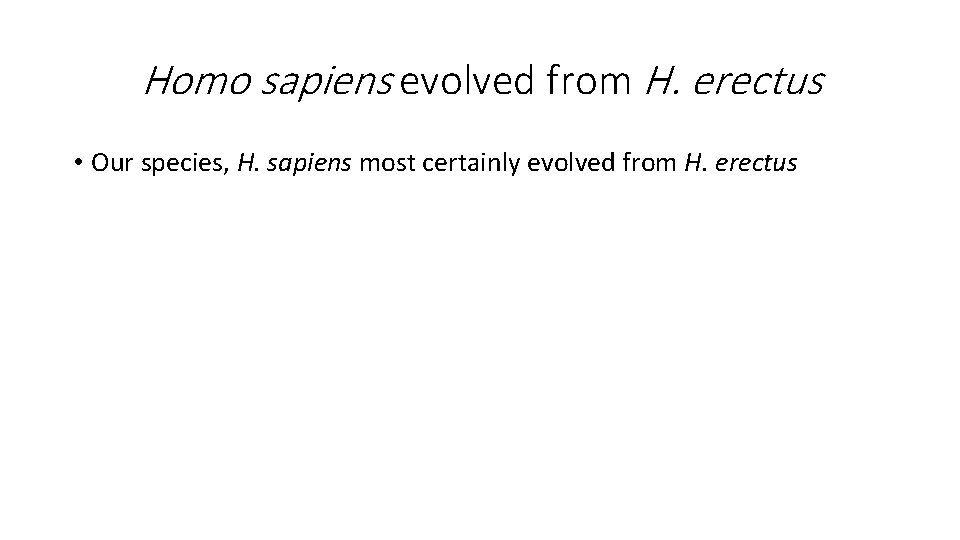 Homo sapiens evolved from H. erectus • Our species, H. sapiens most certainly evolved Homo sapiens evolved from H. erectus • Our species, H. sapiens most certainly evolved