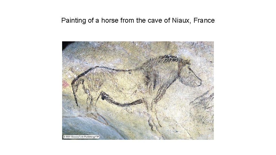 Painting of a horse from the cave of Niaux, France Painting of a horse from the cave of Niaux, France
