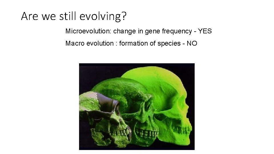 Are we still evolving? Microevolution: change in gene frequency - YES Macro evolution : Are we still evolving? Microevolution: change in gene frequency - YES Macro evolution :