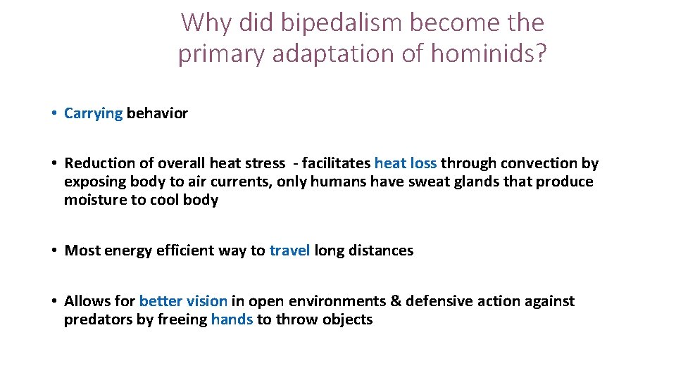 Why did bipedalism become the primary adaptation of hominids? • Carrying behavior • Reduction Why did bipedalism become the primary adaptation of hominids? • Carrying behavior • Reduction