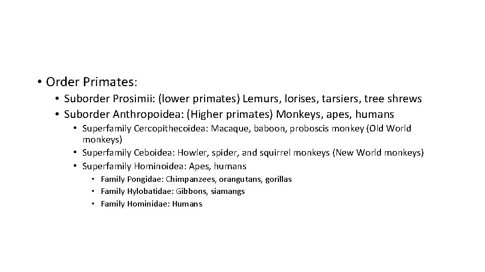 • Order Primates: • Suborder Prosimii: (lower primates) Lemurs, lorises, tarsiers, tree shrews • Order Primates: • Suborder Prosimii: (lower primates) Lemurs, lorises, tarsiers, tree shrews