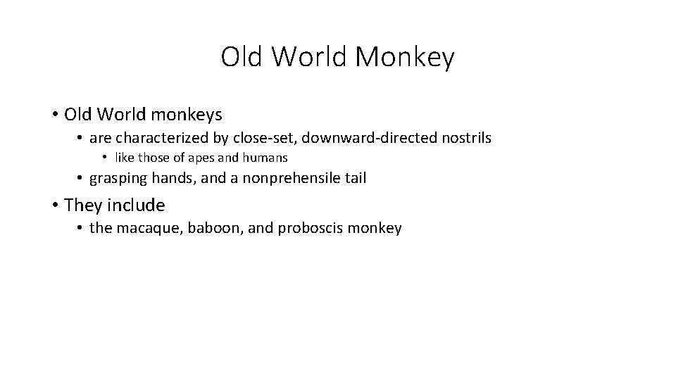 Old World Monkey • Old World monkeys • are characterized by close-set, downward-directed nostrils Old World Monkey • Old World monkeys • are characterized by close-set, downward-directed nostrils