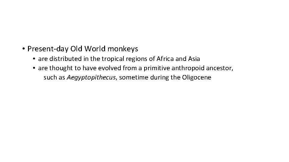 • Present-day Old World monkeys • are distributed in the tropical regions of • Present-day Old World monkeys • are distributed in the tropical regions of