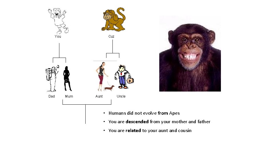 You Dad Cuz Mum Aunt Uncle • Humans did not evolve from Apes • You Dad Cuz Mum Aunt Uncle • Humans did not evolve from Apes •