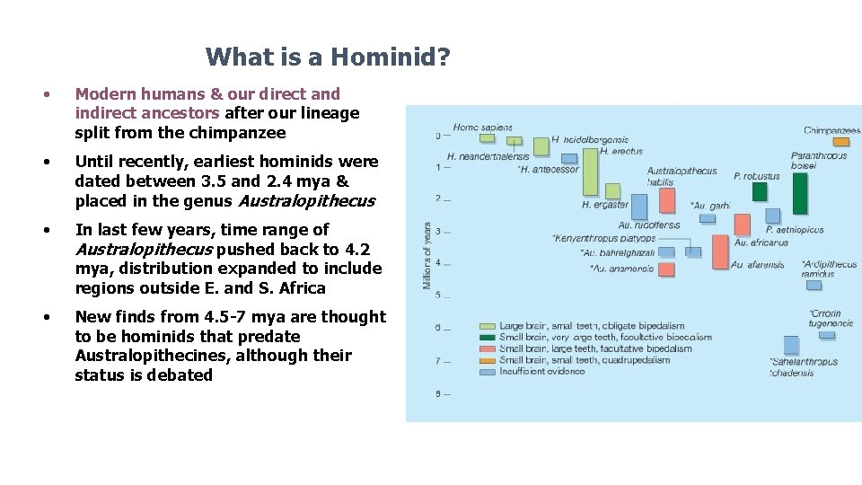 What is a Hominid? • Modern humans & our direct and indirect ancestors after What is a Hominid? • Modern humans & our direct and indirect ancestors after