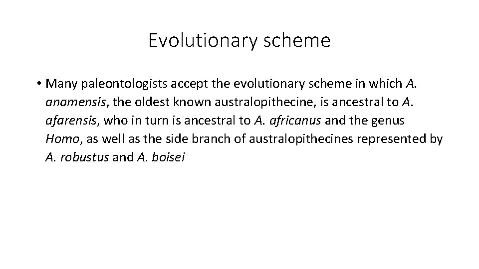 Evolutionary scheme • Many paleontologists accept the evolutionary scheme in which A. anamensis, the Evolutionary scheme • Many paleontologists accept the evolutionary scheme in which A. anamensis, the