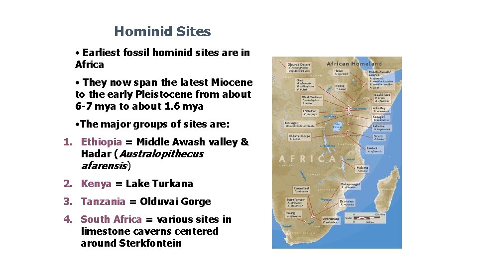 Hominid Sites • Earliest fossil hominid sites are in Africa • They now span Hominid Sites • Earliest fossil hominid sites are in Africa • They now span