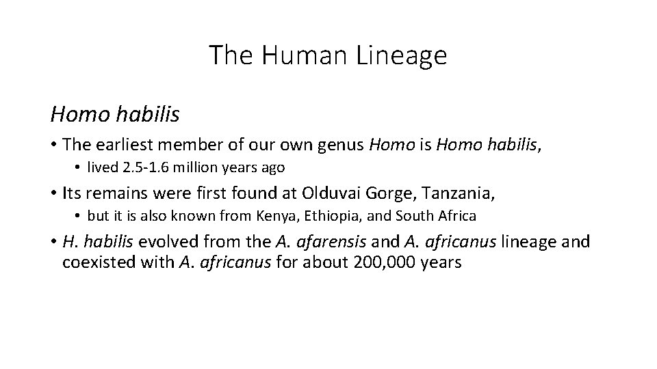 The Human Lineage Homo habilis • The earliest member of our own genus Homo The Human Lineage Homo habilis • The earliest member of our own genus Homo