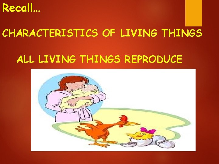 Recall… CHARACTERISTICS OF LIVING THINGS ALL LIVING THINGS REPRODUCE 